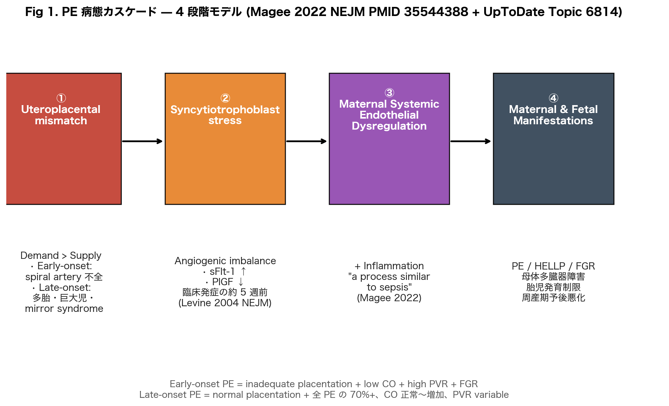 HDP の病型スペクトラムと 2 段階発症モデル